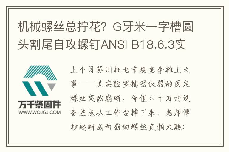 機械螺絲總擰花？G牙米一字槽圓頭割尾自攻螺釘ANSI B18.6.3實測揭秘