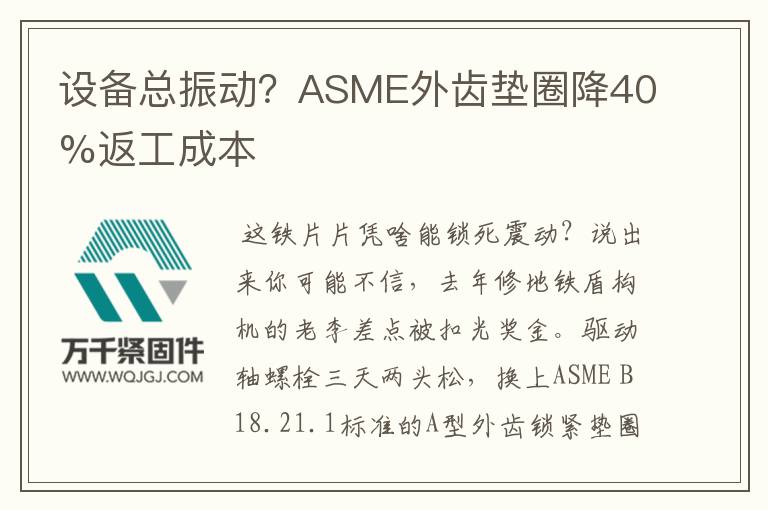 設備總振動?ASME外齒墊圈降40%返工成本