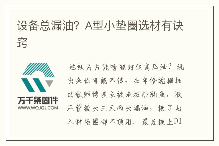 設備總漏油？A型小墊圈選材有訣竅