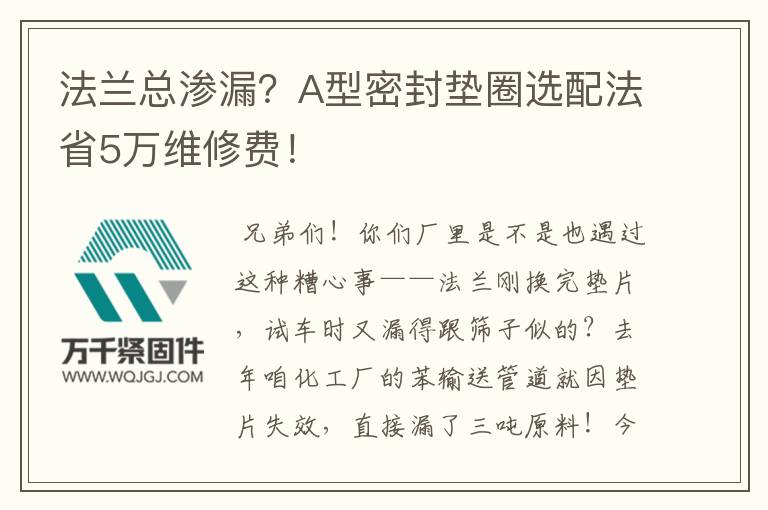 法蘭總滲漏?A型密封墊圈選配法省5萬維修費!