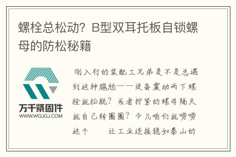 螺栓總松動？B型雙耳托板自鎖螺母的防松秘籍